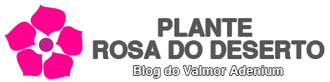 Blog Plante Rosa do Deserto