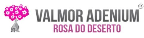 Blog Plante Rosa do Deserto